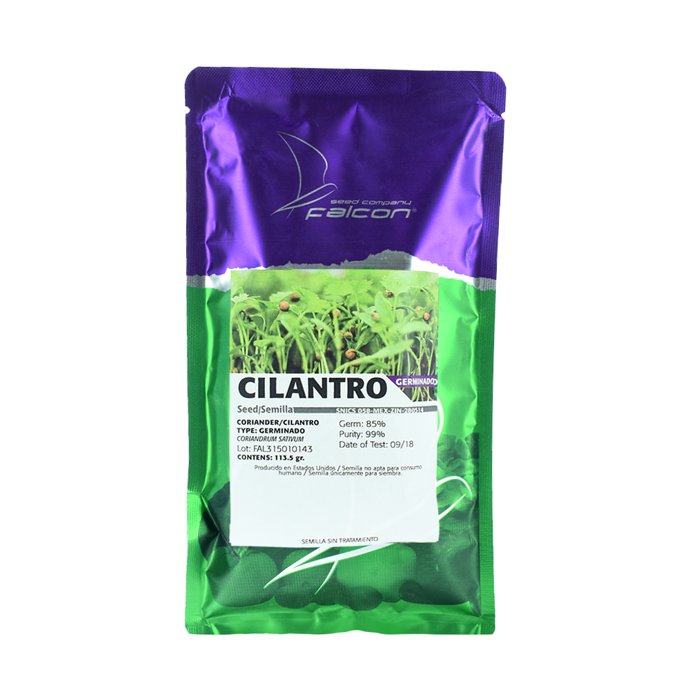 Cilantro para Brote